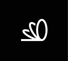 Logo 4